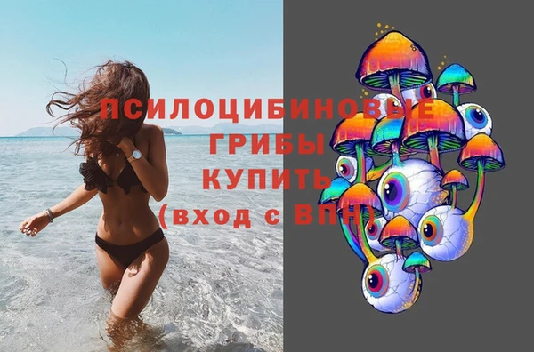 амф Касимов