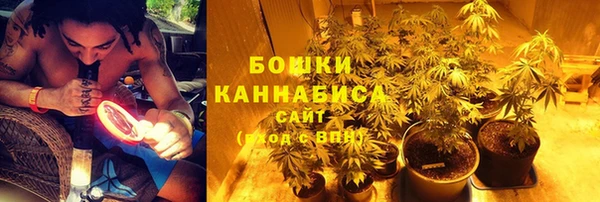 ГАЛЛЮЦИНОГЕННЫЕ ГРИБЫ Карталы