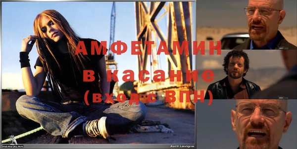 ГАЛЛЮЦИНОГЕННЫЕ ГРИБЫ Карталы