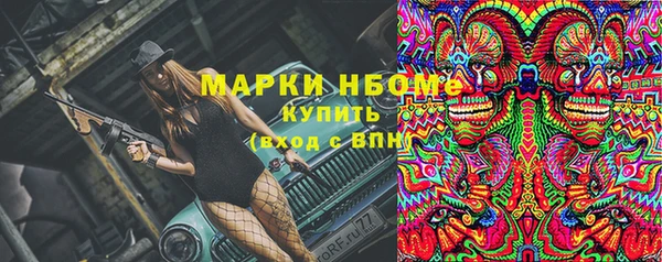 ГАЛЛЮЦИНОГЕННЫЕ ГРИБЫ Карталы