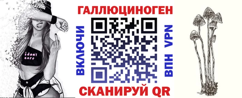Купить  Фокино  Псилоцибиновые грибы Psilocybine cubensis 